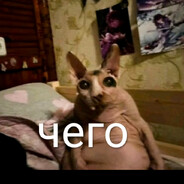 0.5 литра Кваса