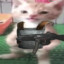 ole