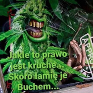 heartbrocken avatar