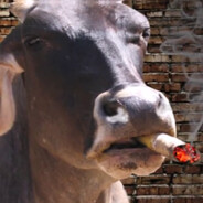 solevoy - steam id 76561199869857714