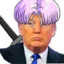 Donald Trunks