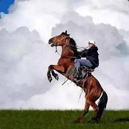 骑着神马找白马