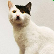 Kitler