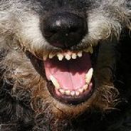 DarkLoki - steam id 76561197964466076