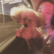 S-快去吧皮卡丘