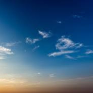 瓦贞德世泥の鸭