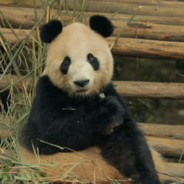 Abreu-jp - steam id 76561198001992607