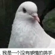 pretty good job so far