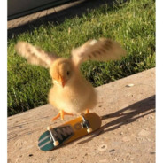 (≧ω≦)Kemo(≧ω≦)