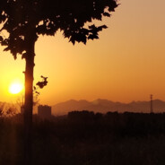 菜鸡不爱说话兜