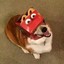 doggo322