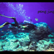 Hello, my name is Peng Jingyi.