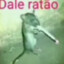 rato do bic