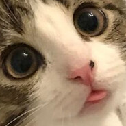 kitty's avatar