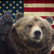 ✰An American Grizzly Bear✰
