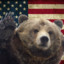 ✰An American Grizzly Bear✰