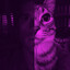 The Bay Harbour Catmaxxer's avatar
