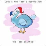 New Year Dodo