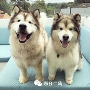 󠀡 󠀡 󠀡 󠀡 󠀡 󠀡