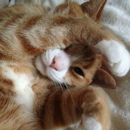 Qym_666 - steam id 76561199519735866