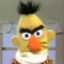 Bert