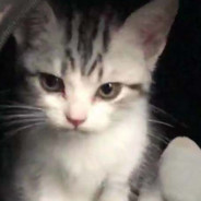 不是小黑子的ikun