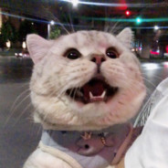 花江不要当废物