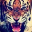 i am tiger