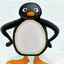 ►◄PINGU►◄  ¯\_(ツ)_/¯