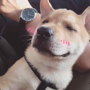 小叮当帮我锤锤背