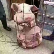 广州大帅哥