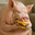 forever hungry
