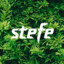 stefe