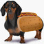 HotDog
