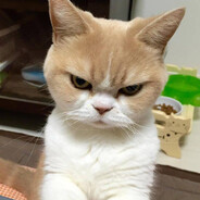 Злой - steam id 76561198964150185