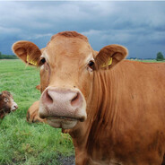 红浪漫婚宴介绍所