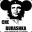 cheburashka