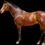Horse Png Image Transparent