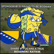 Bosnia Enjoyer