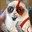 Gratos_Gato_da_Guerra@_@