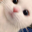 Chloeh
