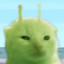 GLorp 55