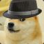 Mr.doge