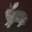 blurryrabbit