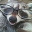 Sophisticated Trash Panda