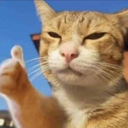 爷爷泡的冰红茶