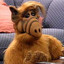 Alf