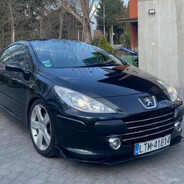 Peugeot 307cc 2.0 16V 150PS Steam avatar