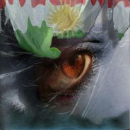 DonKurDo - steam id 76561197964521892