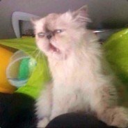 КОНЧИНА ДЕДА